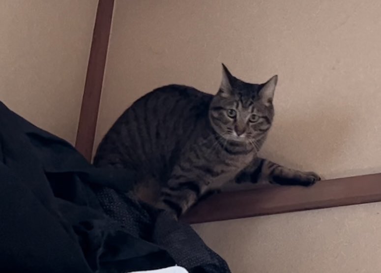 「企んでいる顔」も撮られていたチルくん