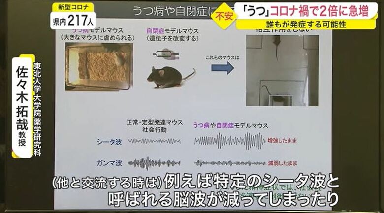 シータ波は不安と関係し、ガンマ波は集中力と関係する