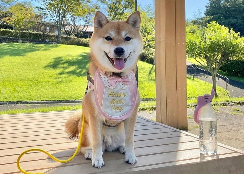 むぎちゃん