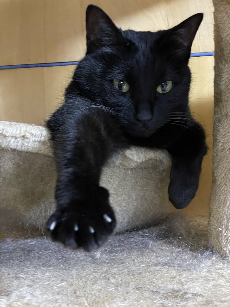 提供：マクーさん