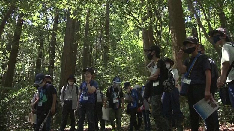 明治11年に植林された木々に囲まれて