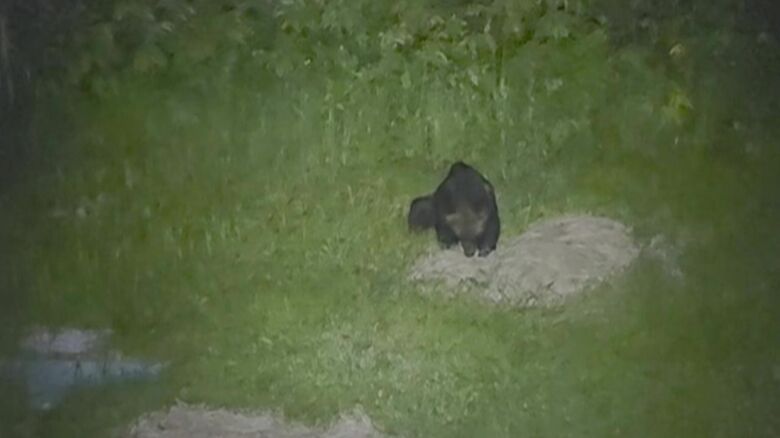 7月10日午後10時30分ごろ （撮影：視聴者）