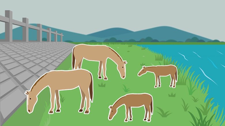 4頭の馬は増水前の河川敷で草を食べていたという（イメージ画像）
