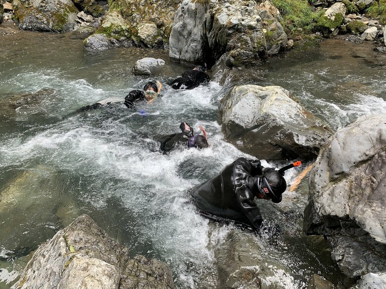 鴨川で野生のオオサンショウウオを観察している様子（出典：クロスホテル京都）