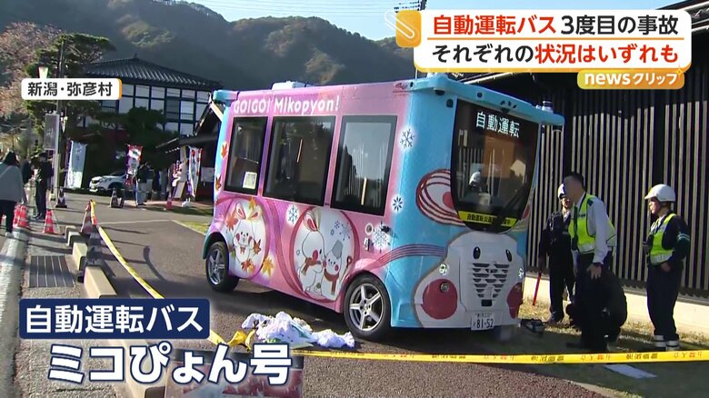 新潟県弥彦村で運行している「ミコぴょん号」
