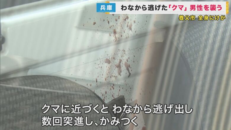 男性に突進