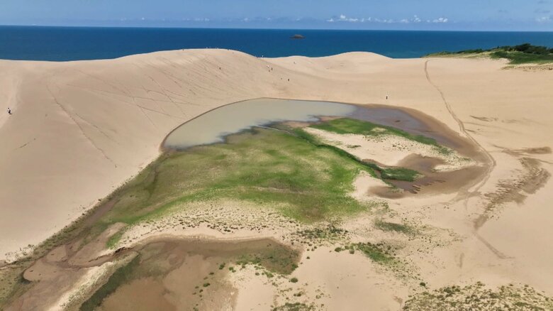 砂丘とは思えない緑の草原が広がっている