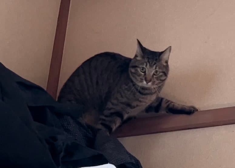 「企んでいる顔」も撮られていたチルくん