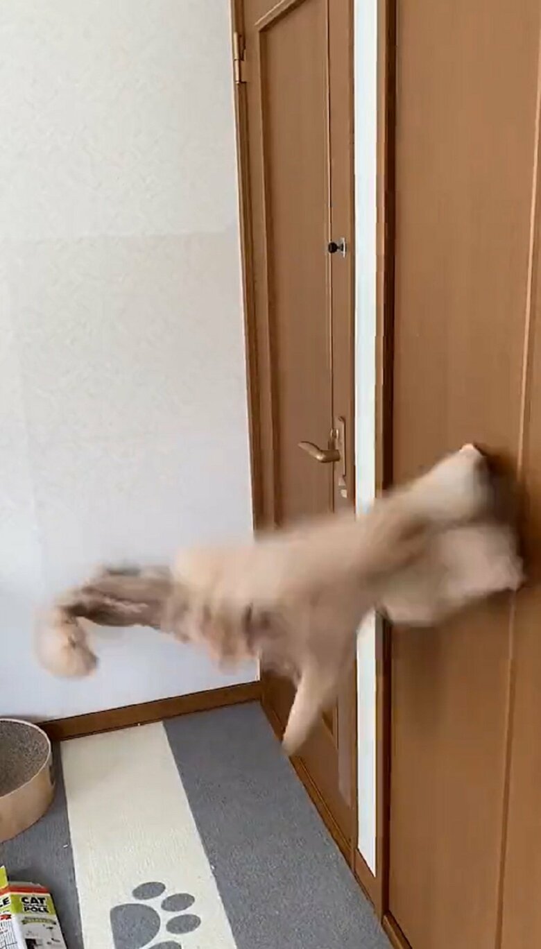 少し走り、そのままおりる