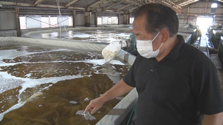 浦島三和　須藤由彦 社長