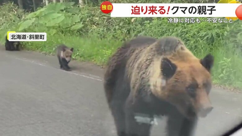 親グマの後を追っていた子グマたち