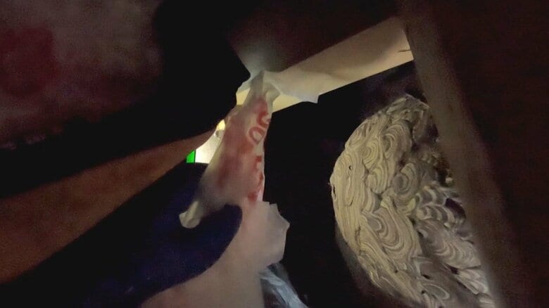 手前のスズメバチがいない古い巣を取り外す