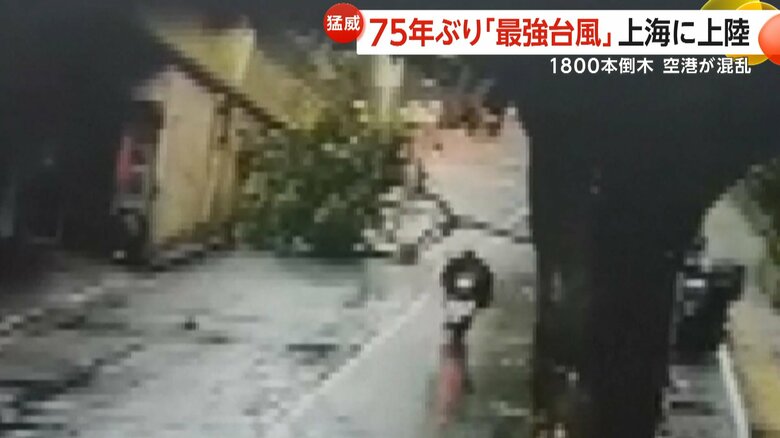 倒木によってふさがれる道路