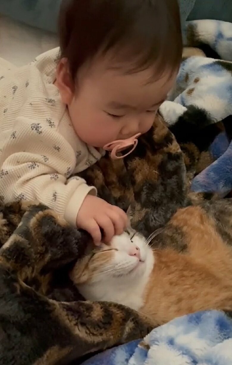 飼い主さんのお子さんからなでなで