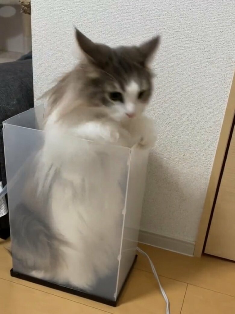 目標を定めて…