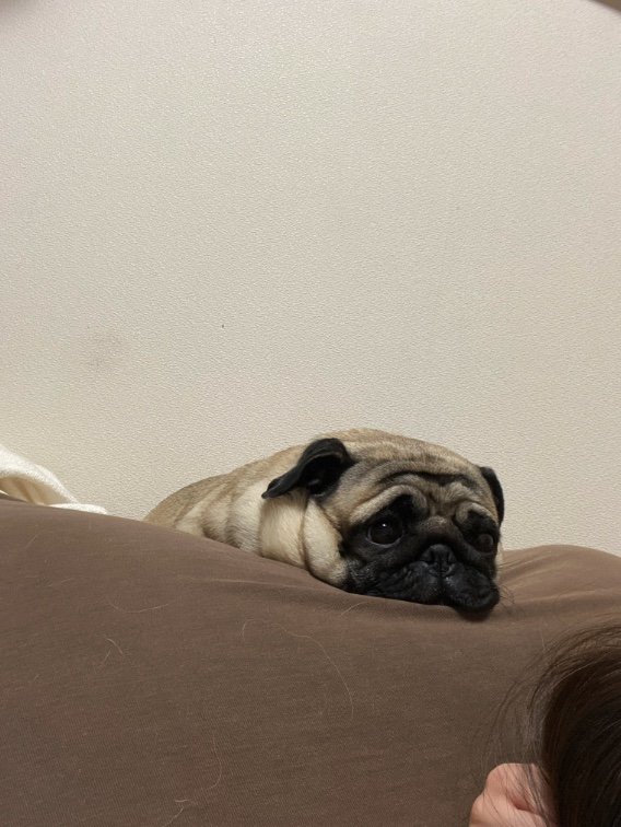 提供：よこむすびさん