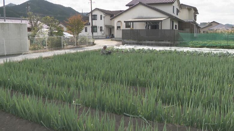 ニュースONE