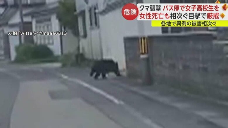 住宅街を堂々と走るクマ（秋田・大仙市 14日）