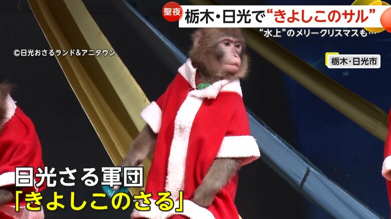「きよしこの夜」を演奏する日光さる軍団