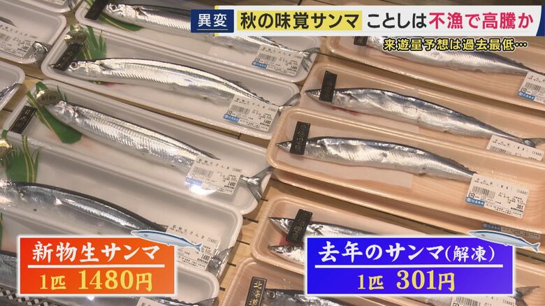 新物は1匹1480円、冷凍していたものは300円