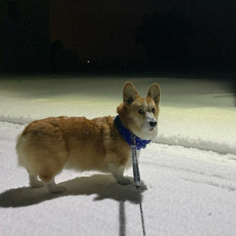 提供：むぎん家＠きよらさん