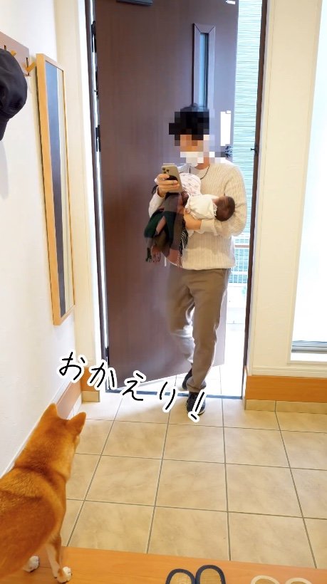 むぎちゃんが双子に初対面！（提供：柴犬 むぎさん）