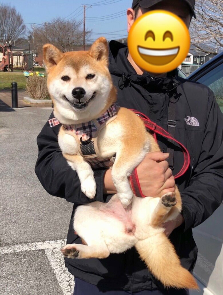 爪切りサロンかと思っていたら、大好きな公園だった（提供：柴犬ももさん）