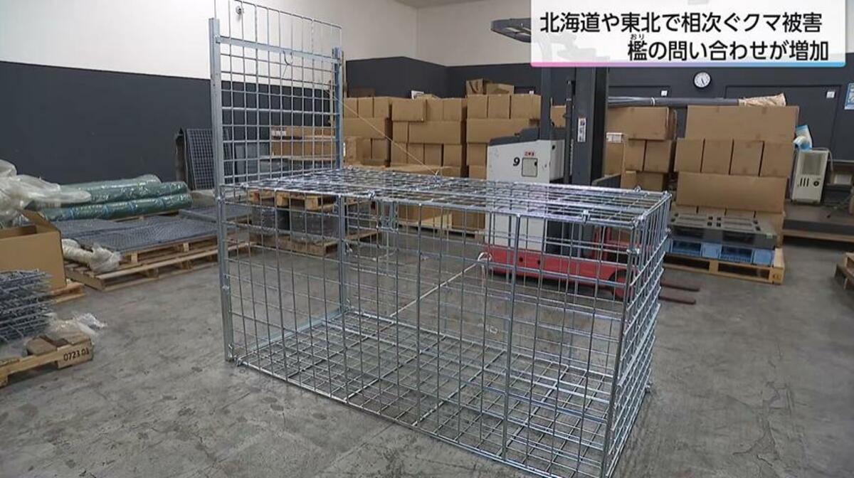 クマ捕獲に「イノシシ・シカ用の檻」活用 100~150センチのツキノワグマ