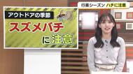 秋の行楽シーズン到来！活発な「スズメバチ」に注意　10月最初の土日はおでかけ日和に