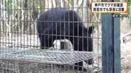 西宮市でクマの目撃が２件相次ぐ　神戸市は初確認を受けて捕獲のための檻を設置へ　