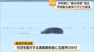 潮を吹き上げながら泳ぐ巨体　宇和島沖でクジラ目撃　春に小魚追い迷いこむことも　注意呼びかけ【愛媛】