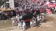 古式捕鯨を表現した「万屋町の鯨の潮吹き」　親子そろっての出演に深まる絆 4年ぶりの開催へ！長崎くんち　