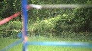 77歳男性がクマに襲われケガ　スコップで撃退　田んぼを見に行った際に成獣1頭と子グマ2頭に遭遇　岩手・遠野市
