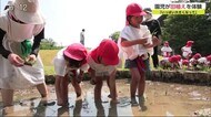 「いっぱい大きくなってほしい」菜畑遺跡で園児が田植え体験【佐賀県唐津市】