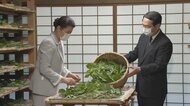 皇后雅子さまの