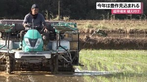 超早場米の植え付け始まる 石垣島