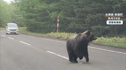 注意】檻にかかった体長1.6mのヒグマが鋭い爪を向け威嚇する