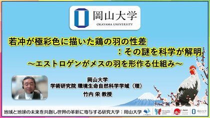 【岡山大学】若冲が極彩色に描いた鶏の羽の性差:その謎を科学が解明 ~エストロゲンがメスの羽を形作る仕組み~