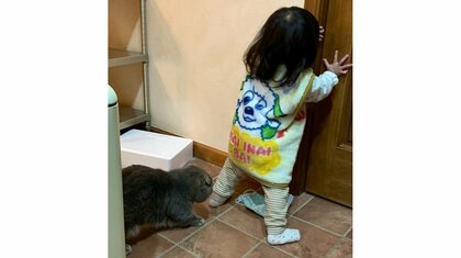 「悪い事するときだいたい一緒」イタズラしようとする娘と愛猫の後ろ姿がかわいい…過去に何をしたのか母親に聞いた
