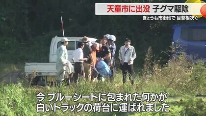 ＜クマ出没＞天童温泉街に出没した子グマ・体長50cm　麻酔銃使用も効果薄く…ライフル発砲し駆除　山形