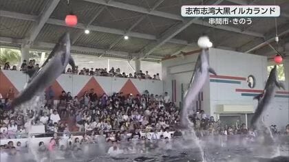 志布志湾大黒イルカランド　開園15周年イベントでにぎわう
