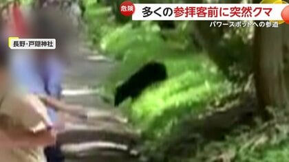 「怖い怖い！」2頭のクマが全国屈指の“パワースポット”戸隠神社に…参拝客前に突然出没で現場騒然　長野市