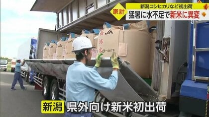 新米に大打撃　猛暑と水不足で“一等米”少なく…専門家「今年はお米選びが難しい」