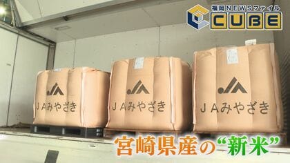 小型精米機  新品　着払いは1000円引き❗️ Amazon.co.jp : 家庭用小型精米機、もみすり機、新米機、農業用精米機