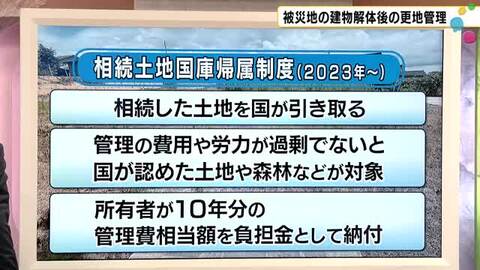 草刈りも限界…能登の更地管理、所有者の苦悩　花で彩る試みと国の新制度