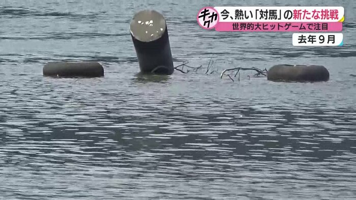 台風で倒壊した和多都美神社の鳥居
