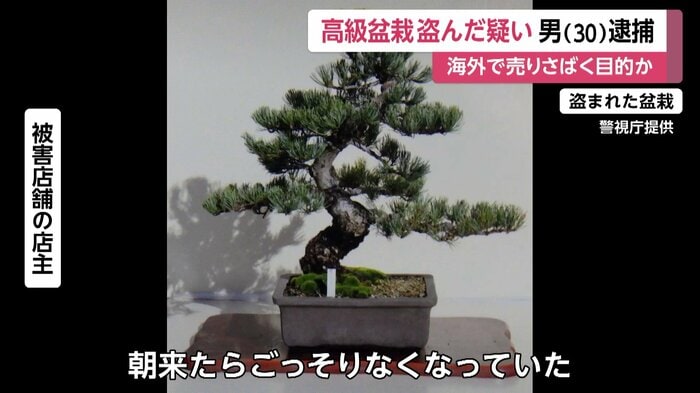 中には10万円以上の高級品も被害に遭ったという
