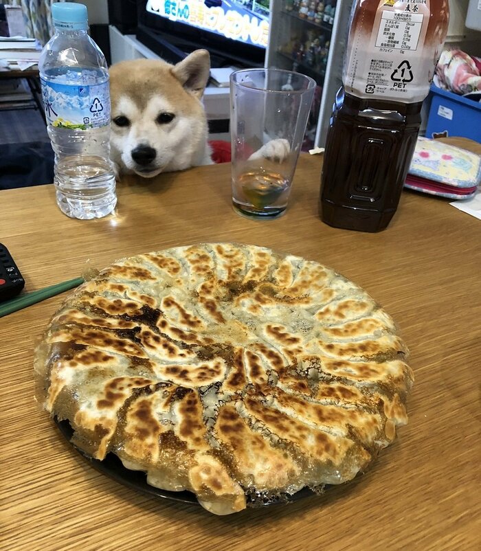 家族が食べるご飯が気になる(投稿画像の撮影日とは別日)