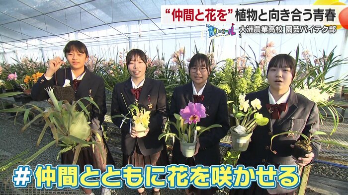 仲間とともに“花を咲かせたい”