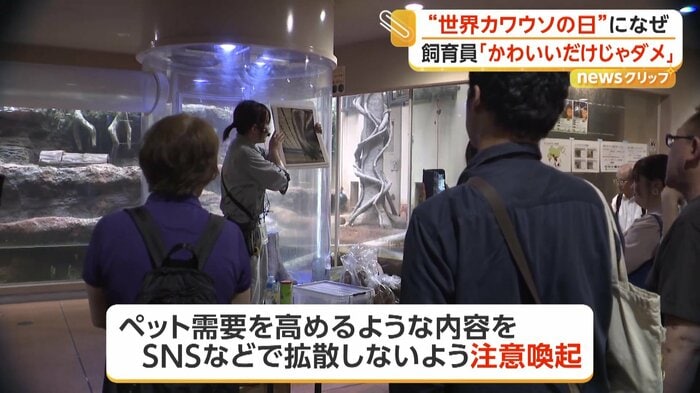 カワウソについて説明する飼育員の田中さん